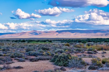 Güney Afrika 'daki Tankwa Karoo arazisinin engin ve engebeli manzarası eşsiz yarı çöl arazisini, kuru otları ve geniş gökyüzünü gözler önüne seriyor.