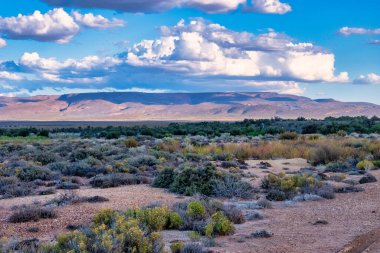 Güney Afrika 'daki Tankwa Karoo arazisinin engin ve engebeli manzarası eşsiz yarı çöl arazisini, kuru otları ve geniş gökyüzünü gözler önüne seriyor.
