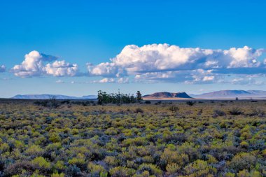 Güney Afrika 'daki Tankwa Karoo arazisinin engin ve engebeli manzarası eşsiz yarı çöl arazisini, kuru otları ve geniş gökyüzünü gözler önüne seriyor.