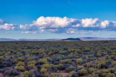 Güney Afrika 'daki Tankwa Karoo arazisinin engin ve engebeli manzarası eşsiz yarı çöl arazisini, kuru otları ve geniş gökyüzünü gözler önüne seriyor.