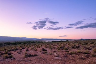 Nefes kesici bir günbatımı, Güney Afrika 'daki Tankwa Karoo' nun engin ve kurak ovalarında altın ve turuncu renkler sergiliyor.