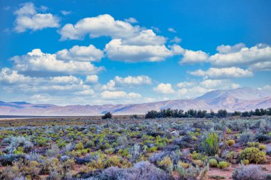 Güney Afrika 'daki Tankwa Karoo arazisinin engin ve engebeli manzarası eşsiz yarı çöl arazisini, kuru otları ve geniş gökyüzünü gözler önüne seriyor.