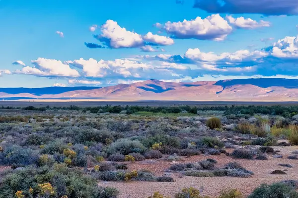 Güney Afrika 'daki Tankwa Karoo arazisinin engin ve engebeli manzarası eşsiz yarı çöl arazisini, kuru otları ve geniş gökyüzünü gözler önüne seriyor.