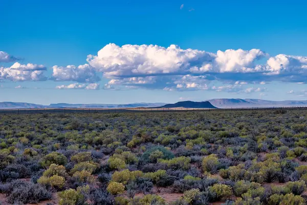 Güney Afrika 'daki Tankwa Karoo arazisinin engin ve engebeli manzarası eşsiz yarı çöl arazisini, kuru otları ve geniş gökyüzünü gözler önüne seriyor.