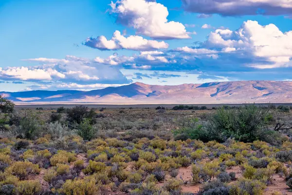 Güney Afrika 'daki Tankwa Karoo arazisinin engin ve engebeli manzarası eşsiz yarı çöl arazisini, kuru otları ve geniş gökyüzünü gözler önüne seriyor.