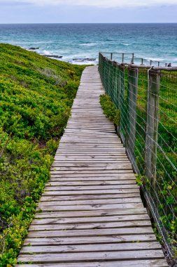 Kıyı yolu, Güney Afrika 'daki De Hoop Doğa Rezervi' nin engebeli kıyı şeridi boyunca esiyor.