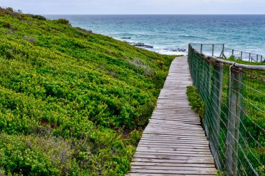 Kıyı yolu, Güney Afrika 'daki De Hoop Doğa Rezervi' nin engebeli kıyı şeridi boyunca esiyor.