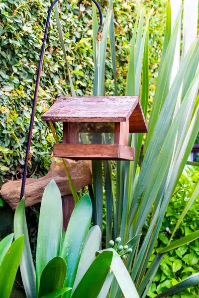 Canlı yeşil bahçe bitkilerinin arasında asılı büyüleyici bir kırsal kuş besleyicisi huzurlu ve doğal bir arka bahçe manzarası sunuyor.