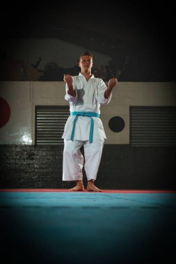 Odaklanmış genç bir erkek dövüş sanatçısı geleneksel bir karate kata dizisini titizlikle ve disiplinle gerçekleştiriyor.. 