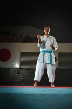 Odaklanmış genç bir erkek dövüş sanatçısı geleneksel bir karate kata dizisini titizlikle ve disiplinle gerçekleştiriyor.