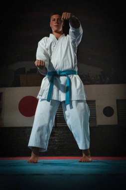 Odaklanmış genç bir erkek dövüş sanatçısı geleneksel bir karate kata dizisini titizlikle ve disiplinle gerçekleştiriyor.