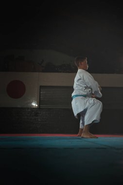 Odaklanmış genç bir erkek dövüş sanatçısı geleneksel bir karate kata dizisini titizlikle ve disiplinle gerçekleştiriyor.