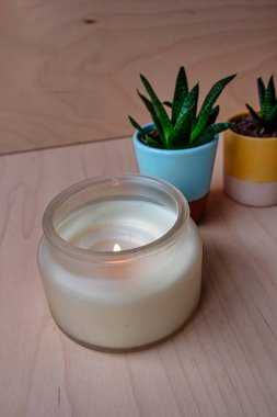 Süslü seramik kaplarda açık ahşap bir zemine kurulmuş iki küçük tatlı bitkinin yanında dondurulmuş cam bir kavanozda yanan krema kokulu bir mum.