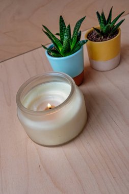 Süslü seramik kaplarda açık ahşap bir zemine kurulmuş iki küçük tatlı bitkinin yanında dondurulmuş cam bir kavanozda yanan krema kokulu bir mum.