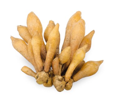 Kaempferia bitkisi beyaz arka planda izole edilmiş. Kaempferia kırpma yolu