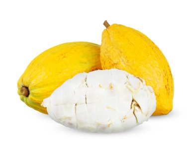 Beyaz arka planda izole edilmiş olgun kakao. Kakao kırpma yolu.