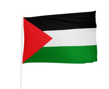 Beyaz arka planda Filistin bayrağı sallıyor. Filistin bayrağı