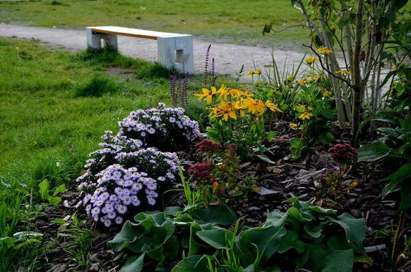 꽃밭에 화식조는 양탄자인 이룬다 있습니다 꽃꽂이 대초원의 이내리쬐는 — 스톡 사진