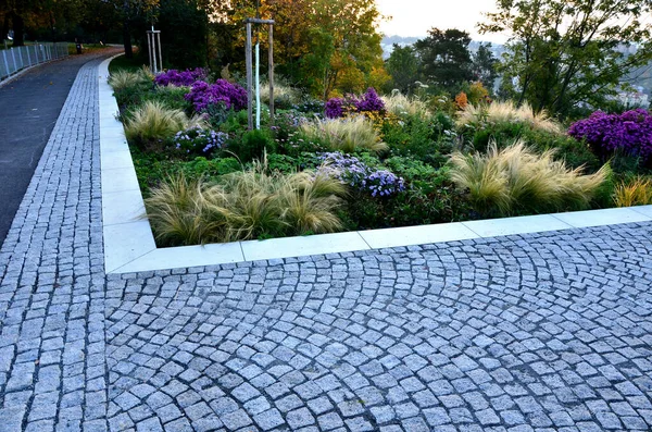 Podzimní Květinové Záhony Trvalkami Travinami Náměstí Černými Kamennými Dlaždicemi Žulovými — Stock fotografie