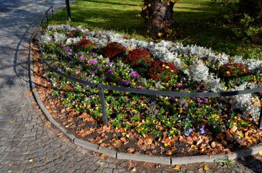 Küplerle döşenmiş gezinti güvertesi. oval şekilli yatakları kaldırdı ve yatağın tırtıklı kenarlarını aşamalı olarak merdiven kenarına benzetti. Sokaktaki gezinti güvertesinde.