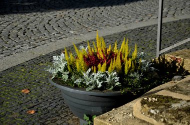 Gri bir saksı, bir meydanda ya da parktaki bir sokakta çiçek açan bir çiçek saksısıdır. Çelikten, betondan, adaçayından, fundalıktan yol engeli