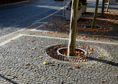 Kare şeklindeki kafes, bir ağaç gövdesi için dairesel bir delik, kaldırımlı bir meydanın ortasında ya da bir çatı katında. Altın bölmeli çelik paspas, süs parkı, döşeme, asfalt, buzlanma.