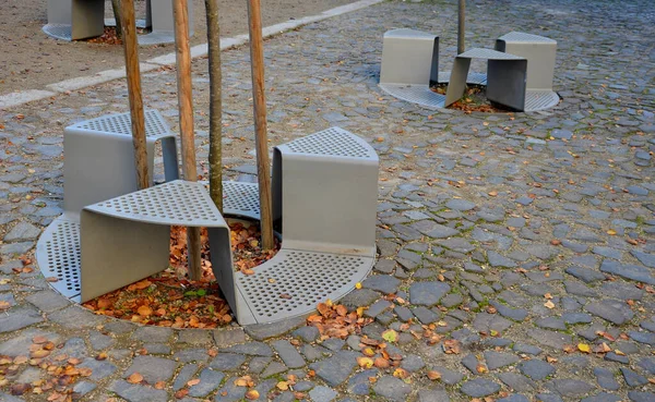 Banco Sentado Com Buraco Torno Uma Árvore Placa Perfurada Metal — Fotografia de Stock