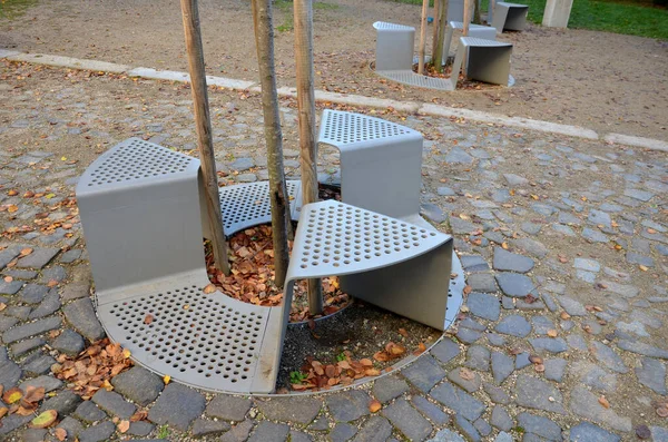 stock image bench sitting with a hole around a tree. green painted metal perforated plate. three places around the tree around like a pizza or a shamrock. concrete pavement path in the park