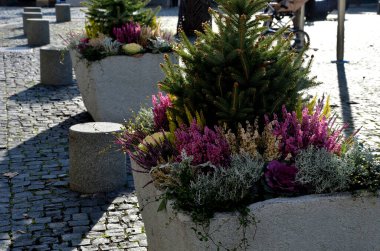 Gri bir saksı dikdörtgen şeklindedir. Çiçek saksısı, bir meydanda ya da bir parkta uzun ömürlü çiçeklerle doludur. Çelik, beton, adaçayı, çalılık, granit silindir, güneşli