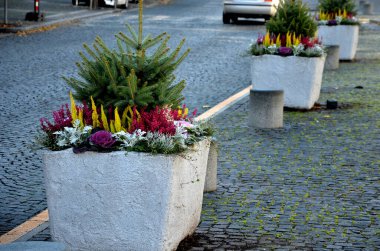 Gri bir saksı dikdörtgen şeklindedir. Çiçek saksısı, bir meydanda ya da bir parkta uzun ömürlü çiçeklerle doludur. Çelik, beton, adaçayı, çalılık, granit silindir, güneşli