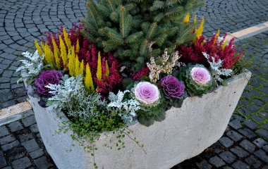 Gri bir saksı dikdörtgen şeklindedir. Çiçek saksısı, bir meydanda ya da bir parkta uzun ömürlü çiçeklerle doludur. Çelik, beton, adaçayı, çalılık, granit silindir, güneşli