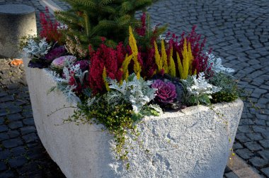 Gri bir saksı dikdörtgen şeklindedir. Çiçek saksısı, bir meydanda ya da bir parkta uzun ömürlü çiçeklerle doludur. Çelik, beton, adaçayı, çalılık, granit silindir, güneşli