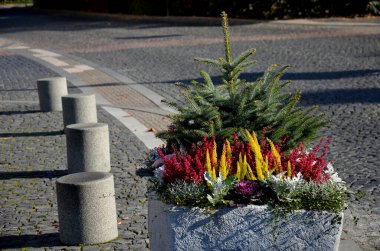 Gri bir saksı dikdörtgen şeklindedir. Çiçek saksısı, bir meydanda ya da bir parkta uzun ömürlü çiçeklerle doludur. Çelik, beton, adaçayı, çalılık, granit silindir, güneşli