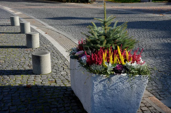 stock image A gray flower pot is a rectangular shape, flowerpot with flowering perennials in a square or on a street in a park. road barrier from steel, concrete, sage, heather, bollard granite cylinder, sunny