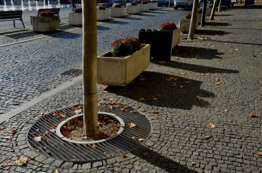 Yıllık çiçek tarlaları granit kaldırım taşları şehir meydanındaki kaldırımlarda yıllık plantasyonlar girişte taş sütunlar ve çiçek saksıları.