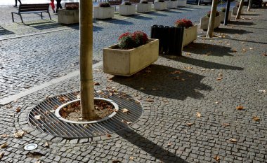 Yıllık çiçek tarlaları granit kaldırım taşları şehir meydanındaki kaldırımlarda yıllık plantasyonlar girişte taş sütunlar ve çiçek saksıları.