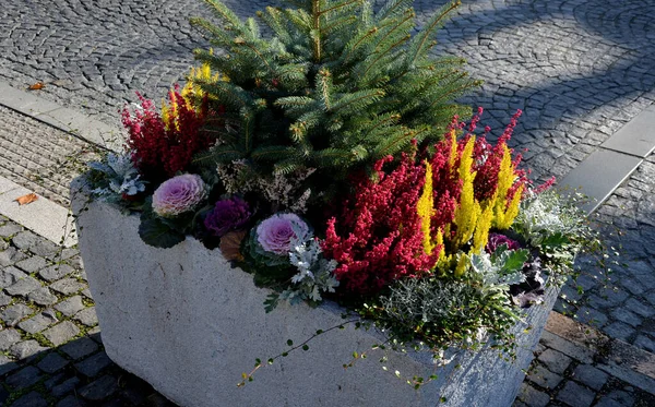 stock image A gray flower pot is a rectangular shape, flowerpot with flowering perennials in a square or on a street in a park. road barrier from steel, concrete, sage, heather, bollard granite cylinder, sunny