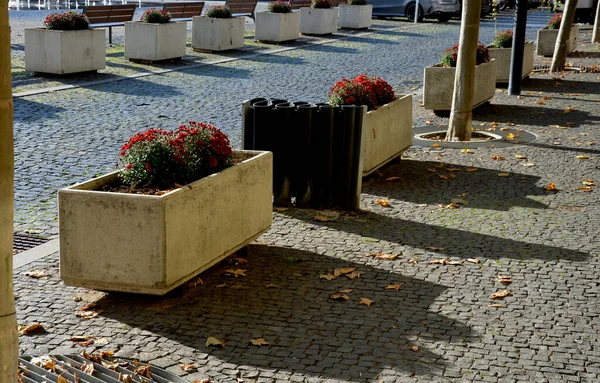 stock image perennial flower beds with annual plantations on the edge of parking in paving on the granite cobblestone town square, stone pillars against the entrance and stone troughs and flower pots plant