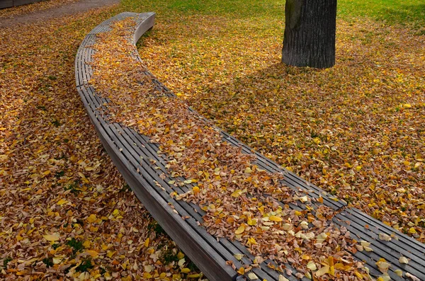 판자가 당신을 자리에 공원에서 산책도 모양의 나뭇잎 색깔로 — 스톡 사진