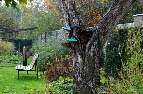 Jardim Outono Feiticeiro Com Cogumelo Gigante Verde Azul Tronco Árvore — Fotografia de Stock