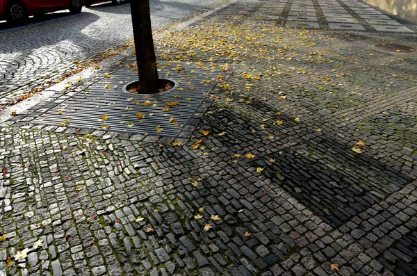 Città Strada Passeggiata Mosaico Ciottoli Pavimentazione Marmo Formando Forme Vicolo — Foto Stock