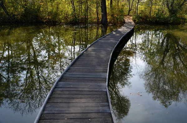 Pływający Chodnik Wykonany Drewnianych Desek Wąskie Zakrzywione Ścieżki Szczudłach Wbitych — Zdjęcie stockowe