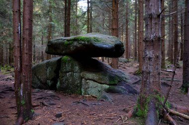 Taş kaya, ladin ormanındaki buzul süreçlerinin düz ve titrek bir kalıntısı. Sallanan taş, yatay pozisyondaki bir dolmen ya da menhir 'e benziyor. En eski doğal salıncak