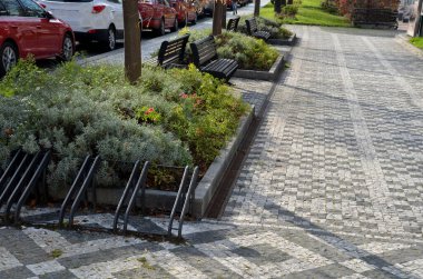 Lavantanın zarif ve Akdeniz etkisi vardır. Yaprakların gri rengi ve oval şekli ile dikkat çekerler. Sokakta saman kabuğu, ahşap bankta siyah renk, gezinti güvertesi, mozaik