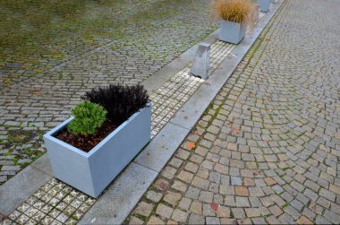 Beton görünümlü, çiçek saksıları ve kozalaklı, cüceden alınan kozalaklarla çevrelenmiş kare, kalın ve arka ışıklandırmalı. Sonbahar, okul boyunca güvenli bir şekilde yürümek.,