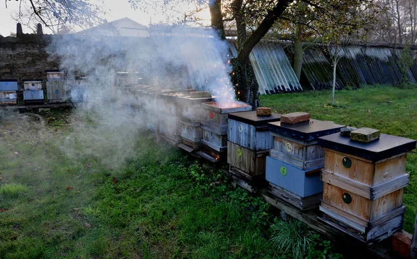 Arı Kovanında Yanan Bir Arı Kovanının Ayrıntıları Vandalizm Kaza Veya — Stok fotoğraf