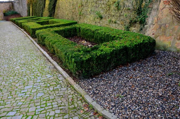 Beeteinfassungen Einem Historischen Garten Aus Buchsbaumhecken Hof Der Burg Entlang — Stockfoto