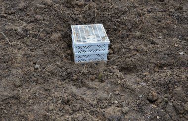 Kare plastik yeşil ızgarayla kaplı çatı oluğu. Yeşil çatılar substrat ile kaplı. Kanalizasyonun etrafındaki alan çakıl taşları, jeolextile, yenileme, toprak, toprak, toprak...