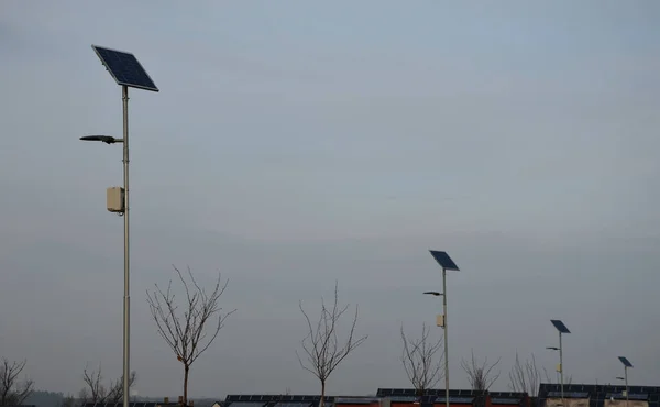 Сіра Колонка Нержавіючої Сталі Циліндричної Форми Лампа Прозорою Кришкою Світлодіодними — стокове фото