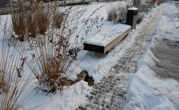 swept narrow path in snow for walking pedestrians in park, in the parking lot. a wide wooden park bench and flower beds with ornamental grasses and perennials in a winter frozen and snowy flower bed